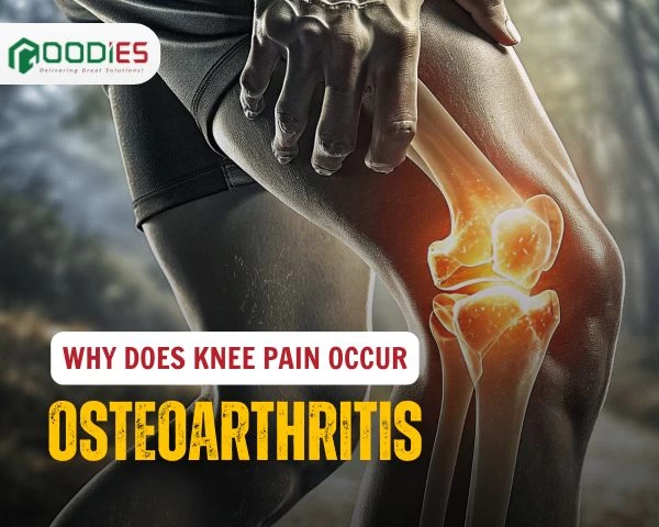 WHY DOES YOUR KNEE HURT WHEN OSTEOARTHRITIS OCCURS?