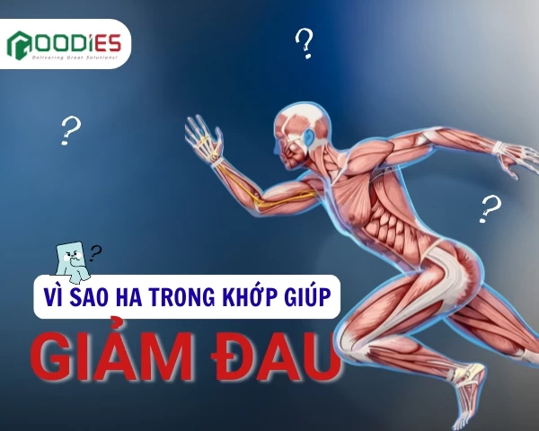 Vì sao tăng HA trong khớp giúp giảm đau?